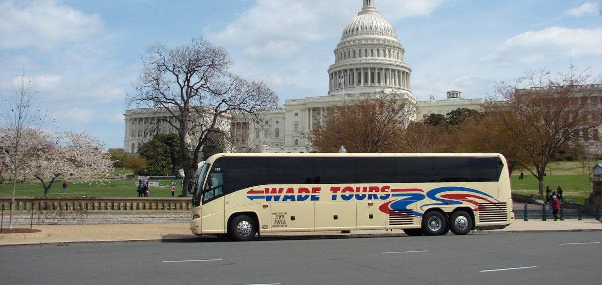 dc cherry blossom bus tour