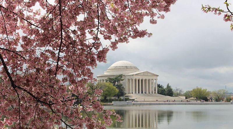 WASHINGTON DC CHERRY BLOSSOM FESTIVAL PARADE APRIL 13 16 2023 