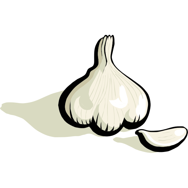 HUDSON VALLEY GARLIC FESTIVAL OCTOBER 1, 2023 Wade Tours Bus Tours
