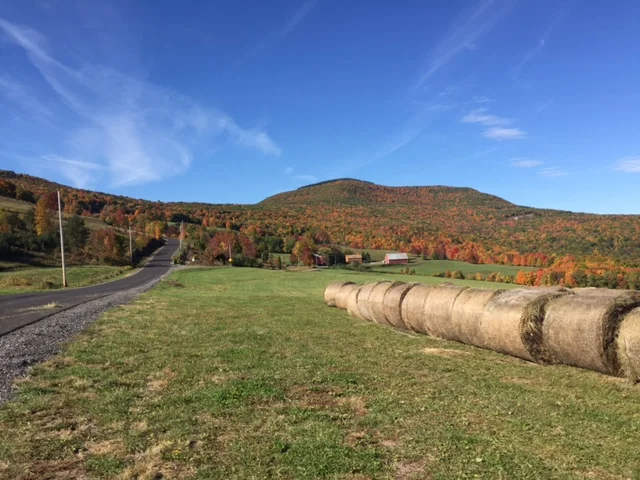 CATSKILLS TOUR