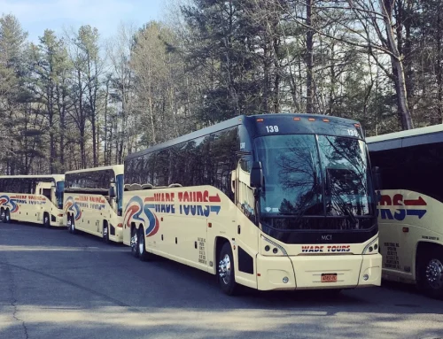 Did You Know We Offer Different Transportation Services?
