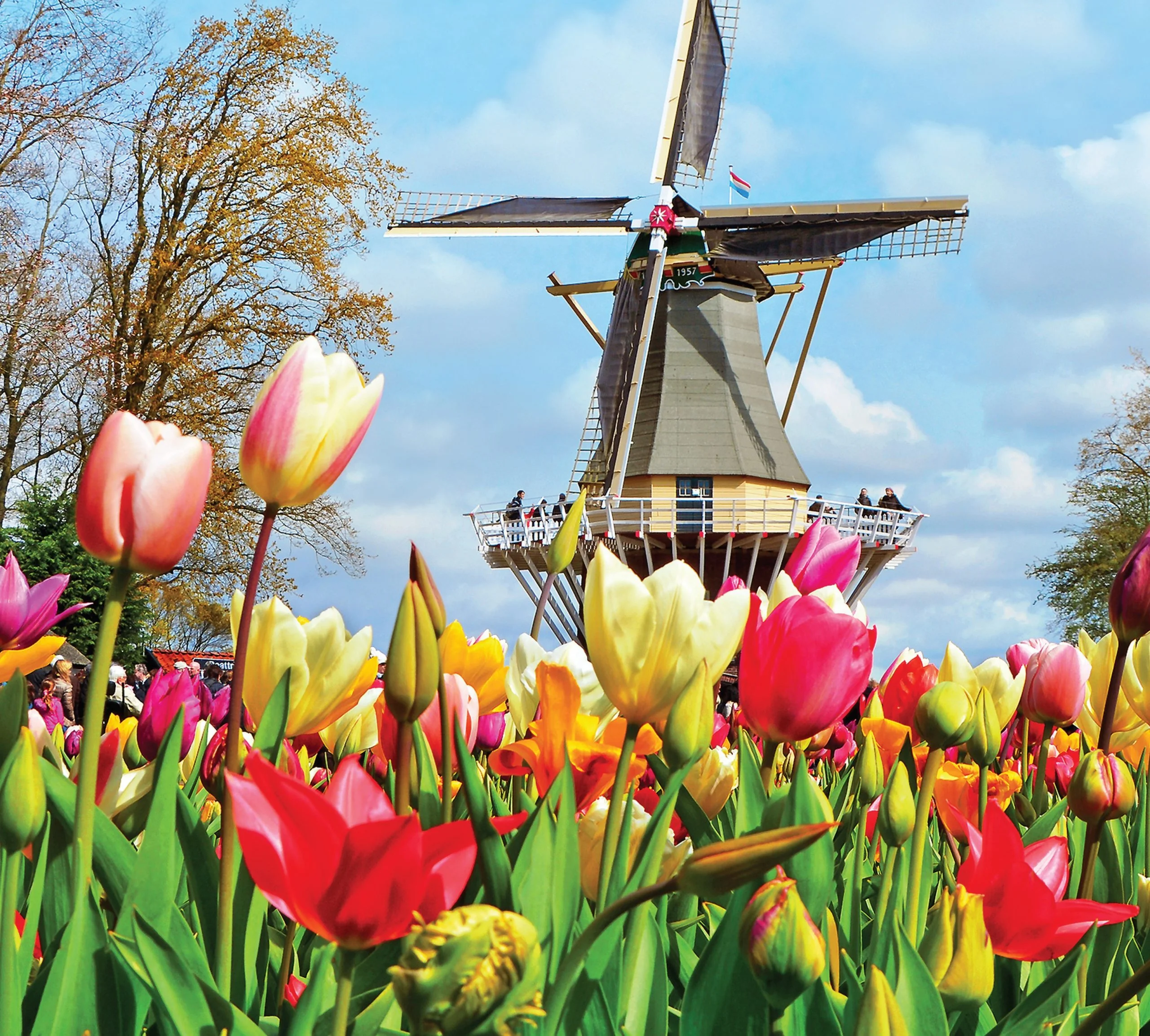 A guide to visiting the tulip fields in the Netherlands - Part-Time Passport