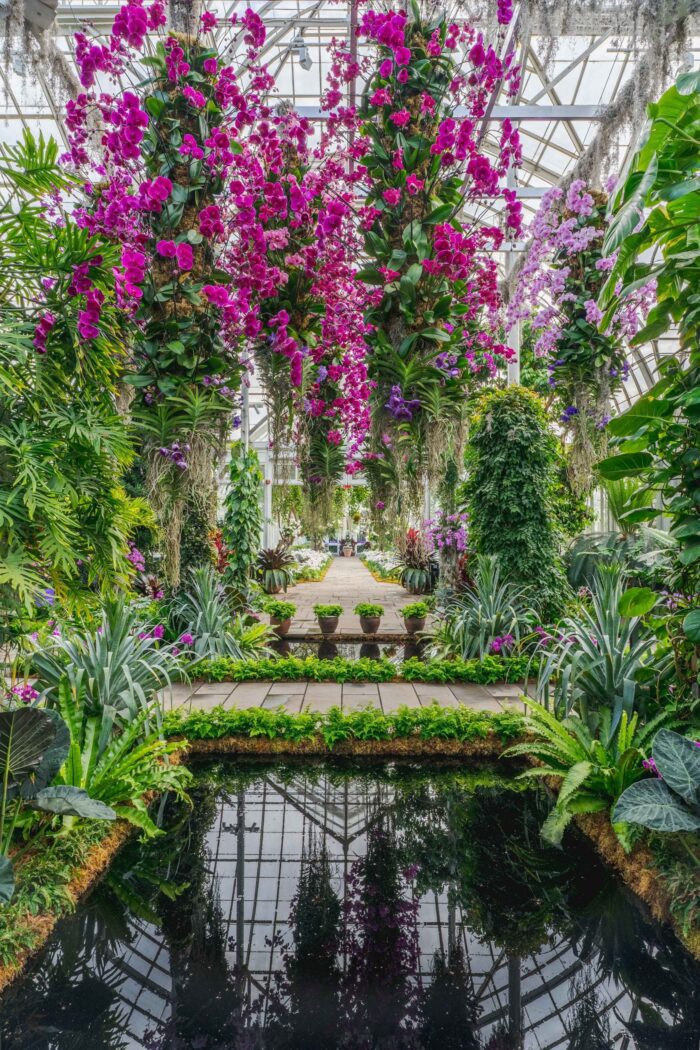 NEW YORK BOTANICAL GARDEN ORCHID SHOW: APRIL 16, 2025