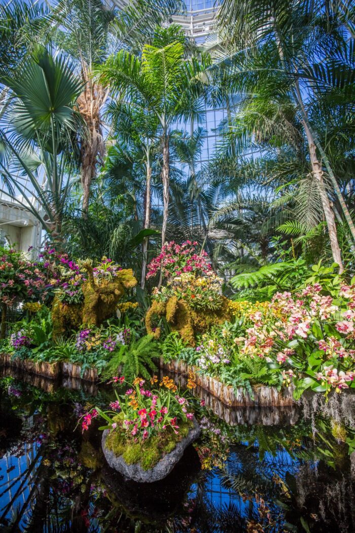 NEW YORK BOTANICAL GARDEN ORCHID SHOW: APRIL 16, 2025 - Image 2